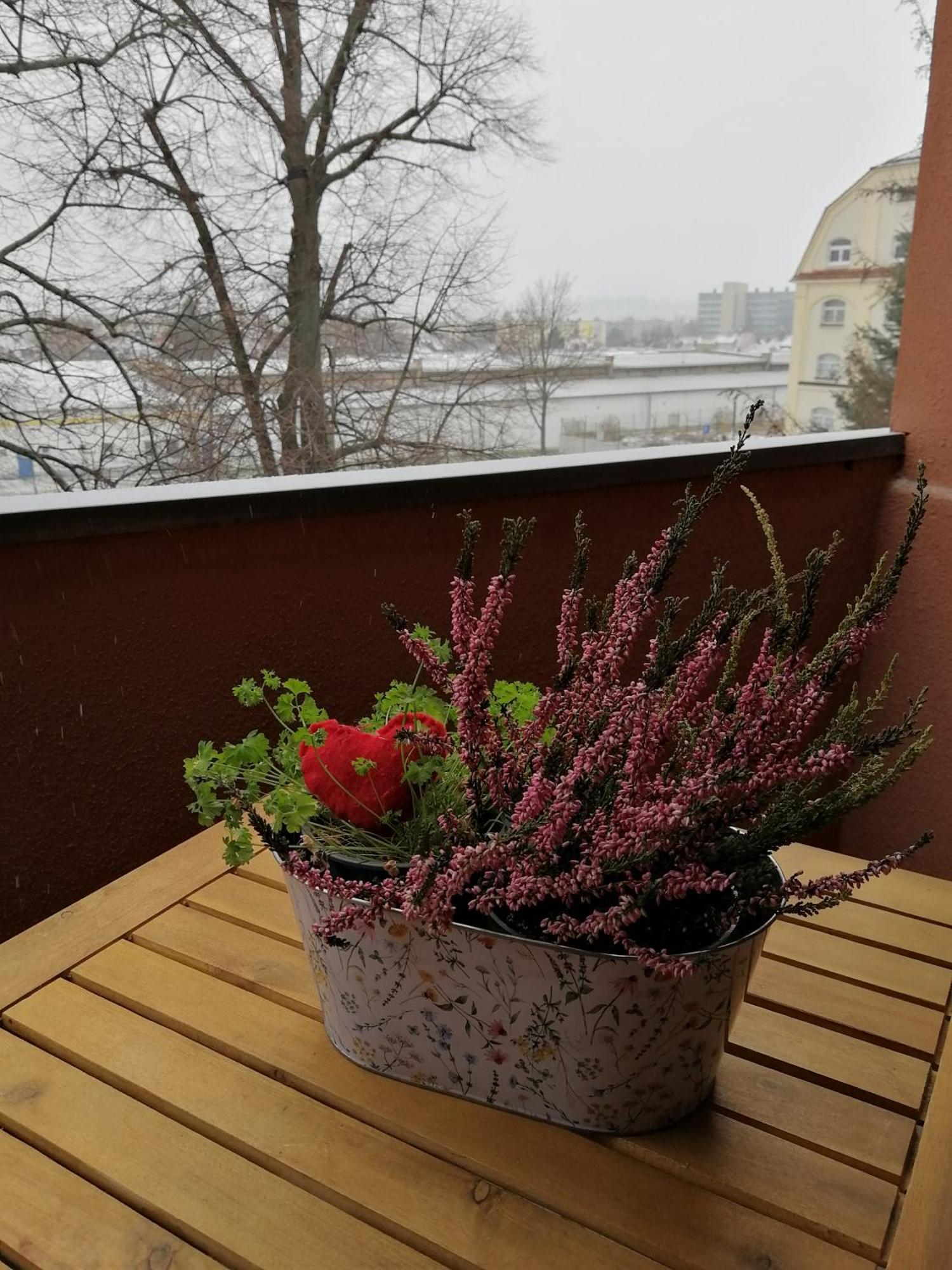 Fewo Lichtblick Budziszyn Zewnętrze zdjęcie